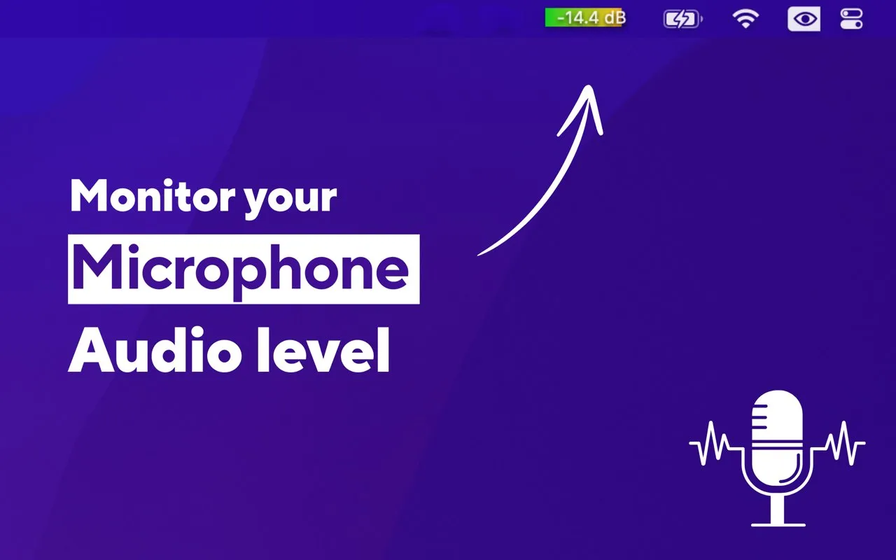Mic Audio Level screenshot 1