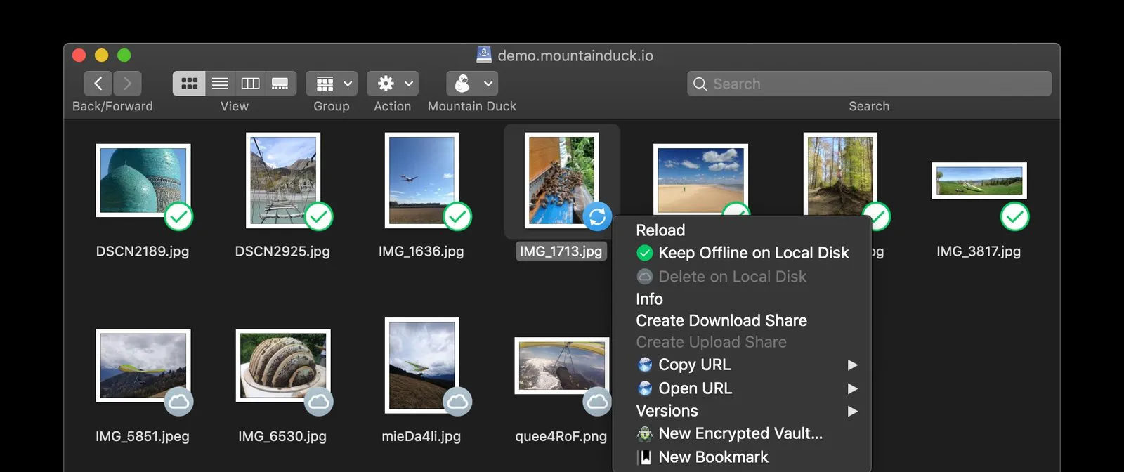 Mountain Duck screenshot 1