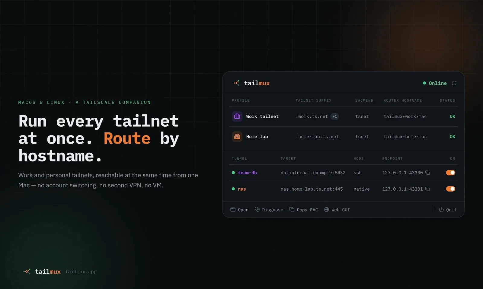 TailMux screenshot 1