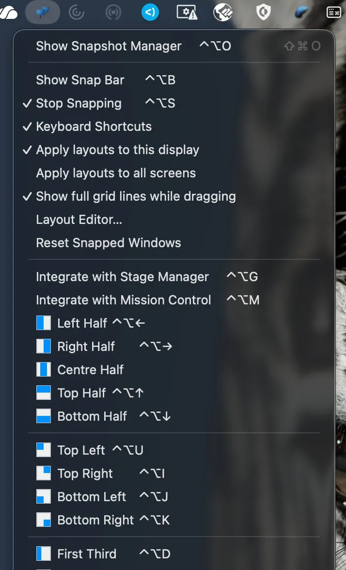 Snaps Of Apps screenshot 1